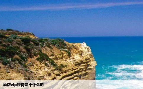 酒店vip接待是干什么的