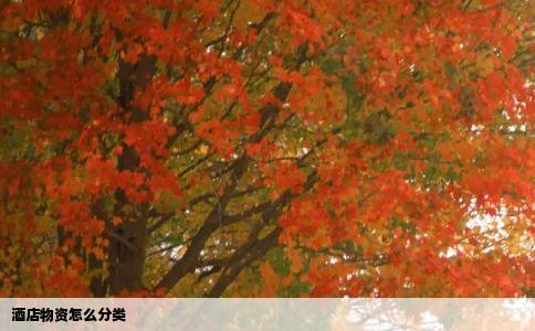 酒店物资怎么分类