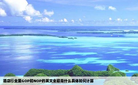 酒店行业里GOP和NOP的英文全称是什么具体如何计算
