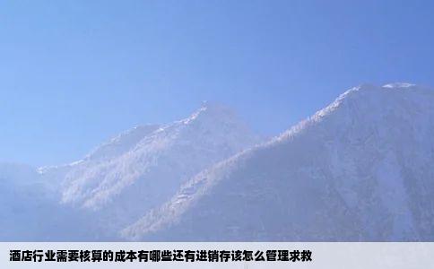 酒店行业需要核算的成本有哪些还有进销存该怎么管理求救