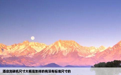 酒店洗碗机尺寸大概是怎样的有没有标准尺寸的