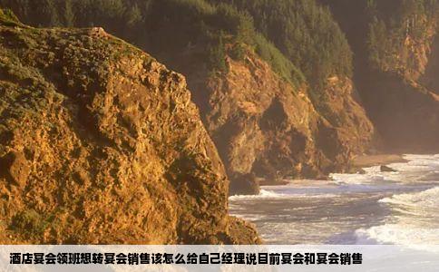 酒店宴会领班想转宴会销售该怎么给自己经理说目前宴会和宴会销售