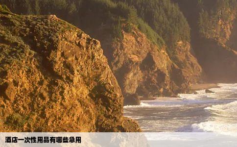 酒店一次性用品有哪些急用