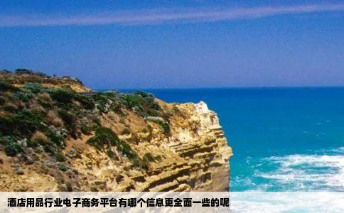 酒店用品行业电子商务平台有哪个信息更全面一些的呢