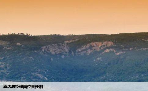 酒店总经理岗位责任制