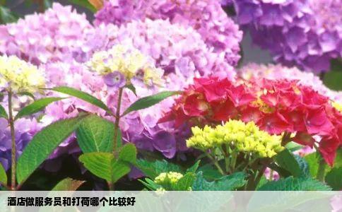 酒店做服务员和打荷哪个比较好