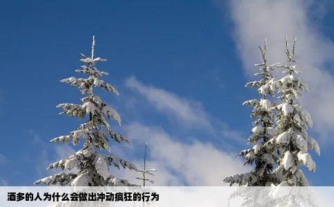 酒多的人为什么会做出冲动疯狂的行为
