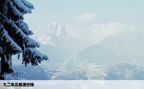 九二年五粮液价格