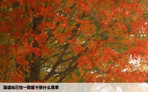 酒逢知己饮一醉解千愁什么意思