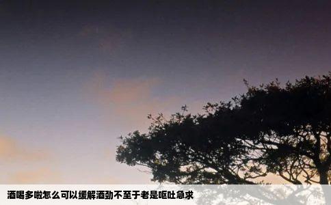 酒喝多啦怎么可以缓解酒劲不至于老是呕吐急求