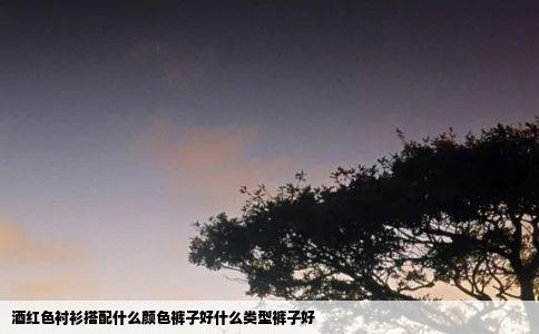 酒红色衬衫搭配什么颜色裤子好什么类型裤子好