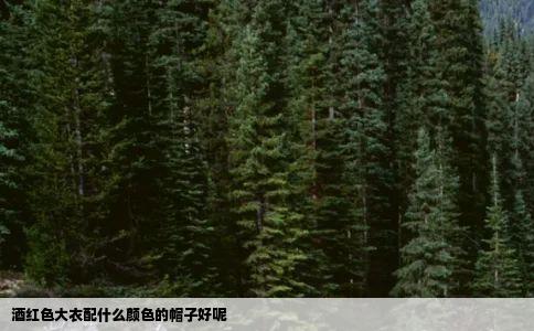 酒红色大衣配什么颜色的帽子好呢