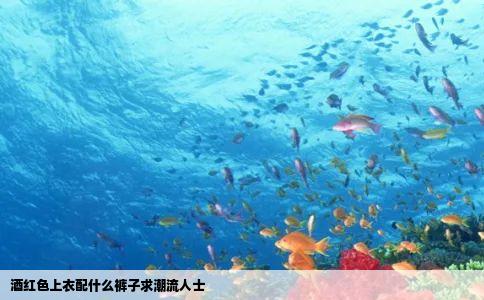 酒红色上衣配什么裤子求潮流人士