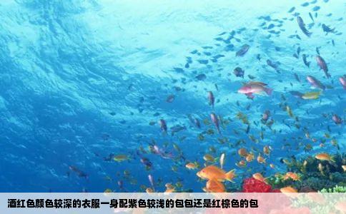 酒红色颜色较深的衣服一身配紫色较浅的包包还是红棕色的包