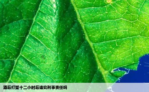 酒后打架十二小时后追究刑事责任吗