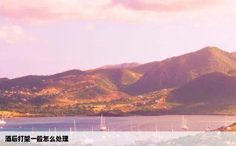 酒后打架一般怎么处理