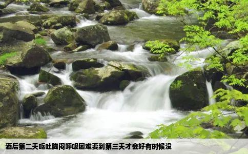 酒后第二天呕吐胸闷呼吸困难要到第三天才会好有时候没