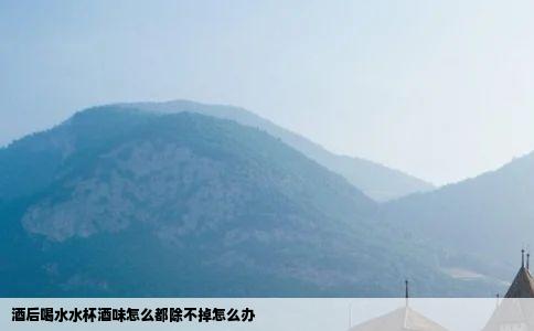 酒后喝水水杯酒味怎么都除不掉怎么办