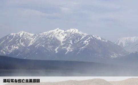 酒后驾车伤亡主要原因