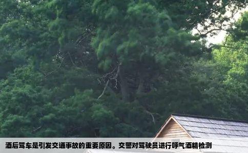酒后驾车是引发交通事故的重要原因交警对驾驶员进行呼气酒精检测
