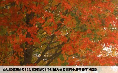 酒后驾驶车辆扣12分驾照暂扣6个月因为我老家有事没有去学习这都