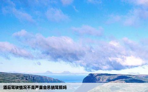 酒后驾驶情况不是严重会吊销驾照吗