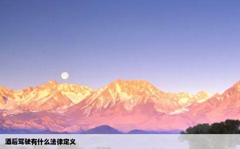 酒后驾驶有什么法律定义