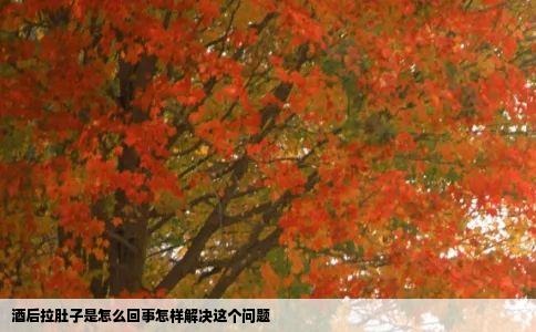 酒后拉肚子是怎么回事怎样解决这个问题