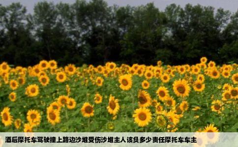 酒后摩托车驾驶撞上路边沙堆受伤沙堆主人该负多少责任摩托车车主