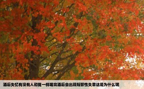 酒后失忆有没有人和我一样喝完酒后会出现短暂性失意这是为什么呢