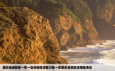 酒后逃逸致使一死一伤没有经济能力我一定要负连带经济赔偿责任