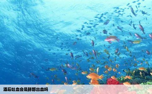 酒后吐血会是肺部出血吗