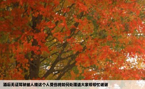 酒后无证驾驶被人撞这个人受伤将如何处理请大家帮帮忙谢谢