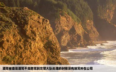 酒驾被查是酒驾不是醉驾到交警大队处理的时候没有填写所在公司