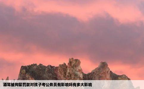 酒驾被拘留罚款对孩子考公务员有影响吗有多大影响