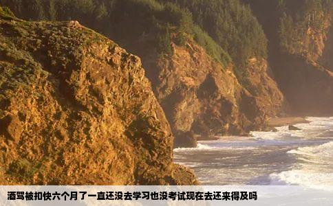 酒驾被扣快六个月了一直还没去学习也没考试现在去还来得及吗