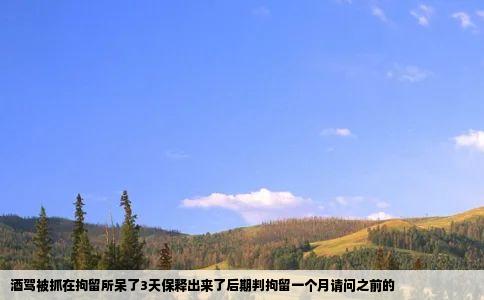 酒驾被抓在拘留所呆了3天保释出来了后期判拘留一个月请问之前的