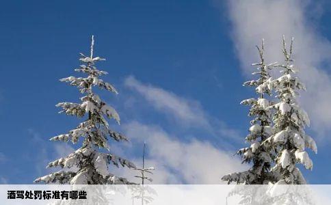 酒驾处罚标准有哪些