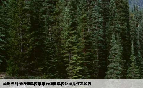 酒驾当时没通知单位半年后通知单位处理我该怎么办