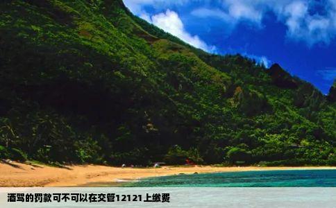 酒驾的罚款可不可以在交管12121上缴费