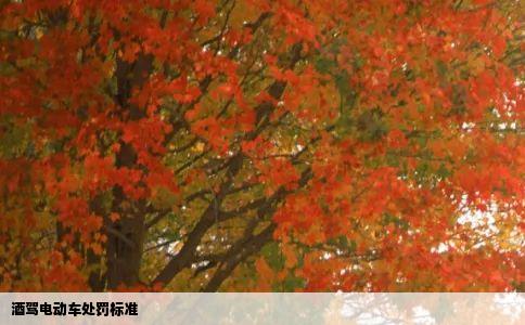 酒驾电动车处罚标准