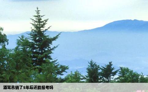 酒驾吊销了5年后还能报考吗