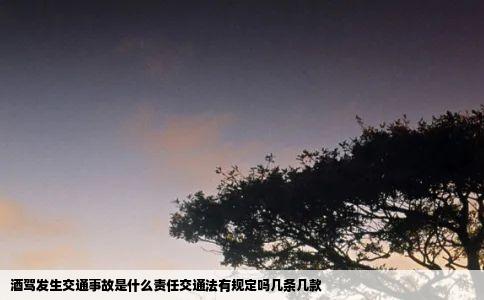 酒驾发生交通事故是什么责任交通法有规定吗几条几款