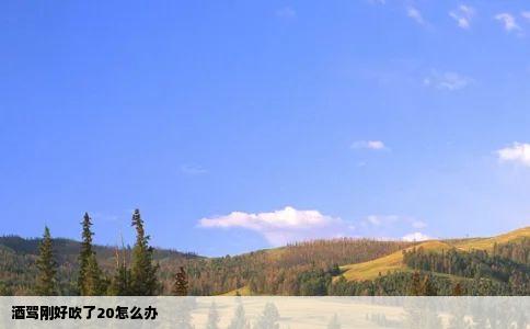 酒驾刚好吹了20怎么办