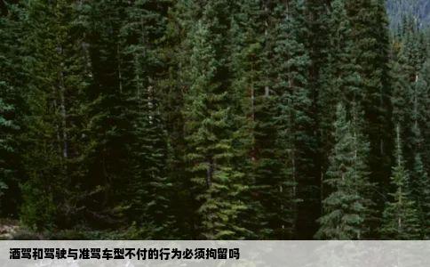 酒驾和驾驶与准驾车型不付的行为必须拘留吗