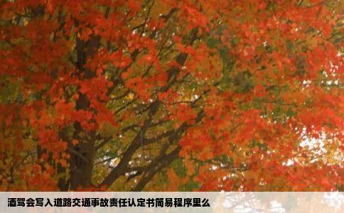 酒驾会写入道路交通事故责任认定书简易程序里么