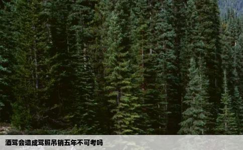 酒驾会造成驾照吊销五年不可考吗