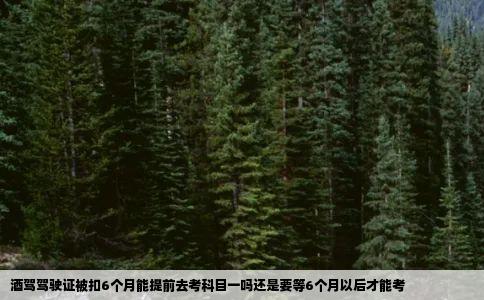 酒驾驾驶证被扣6个月能提前去考科目一吗还是要等6个月以后才能考