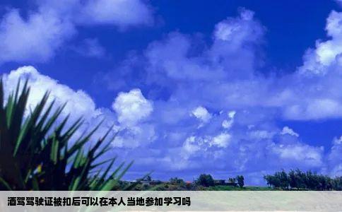 酒驾驾驶证被扣后可以在本人当地参加学习吗