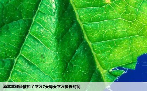 酒驾驾驶证被扣了学习7天每天学习多长时间